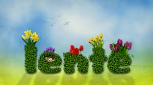 Nieuwsbericht  maart