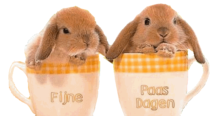Pasen 2017 - Kindcentrum de Vaart