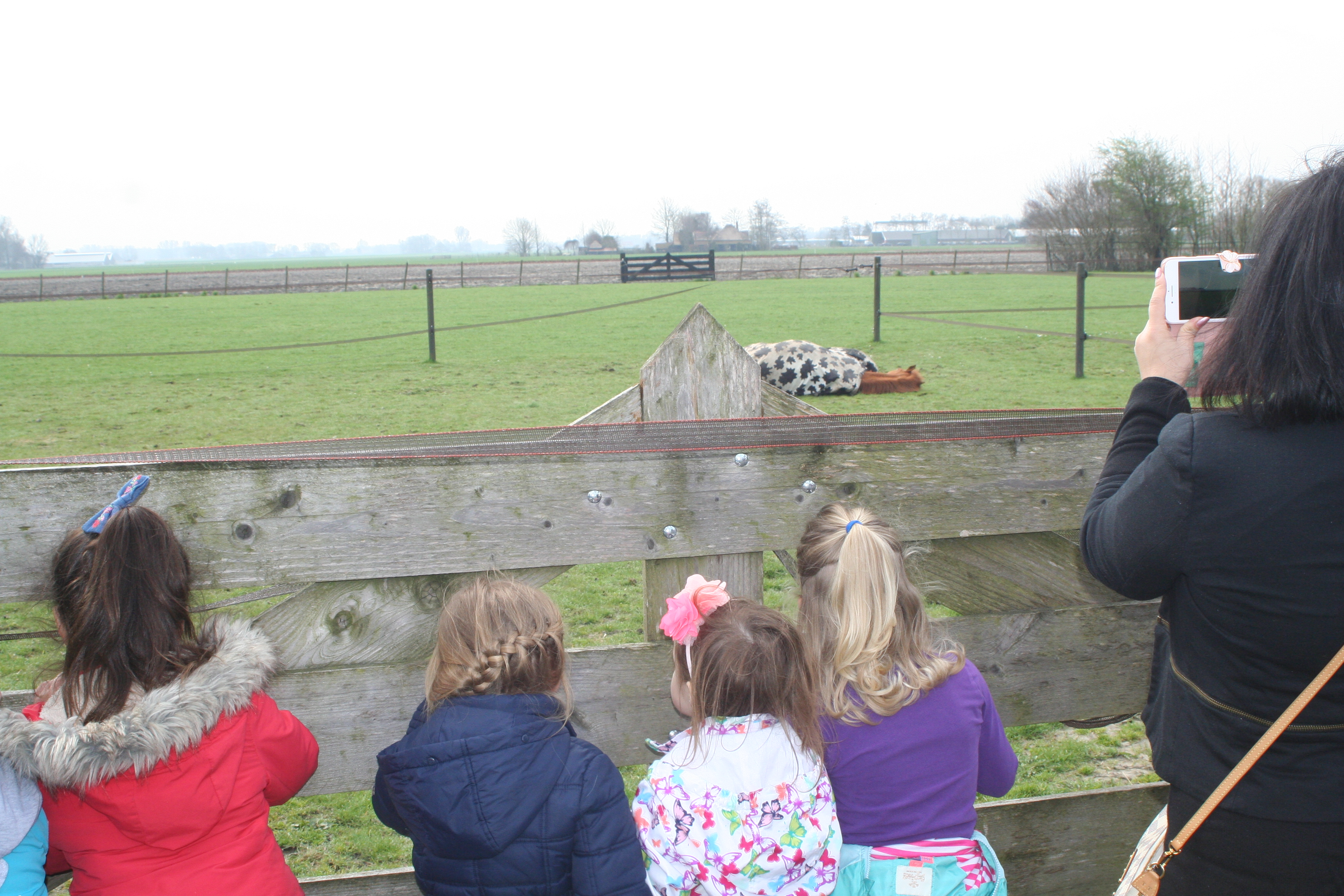 Groep 1/2 naar de boerderij