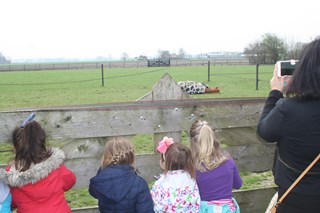 Boerderij1