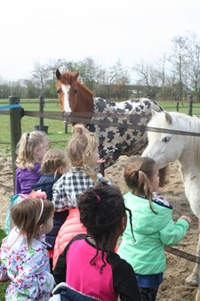 Boerderij2