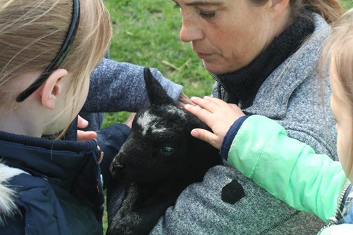 Boerderij4