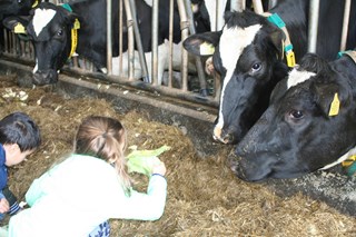 Boerderij5