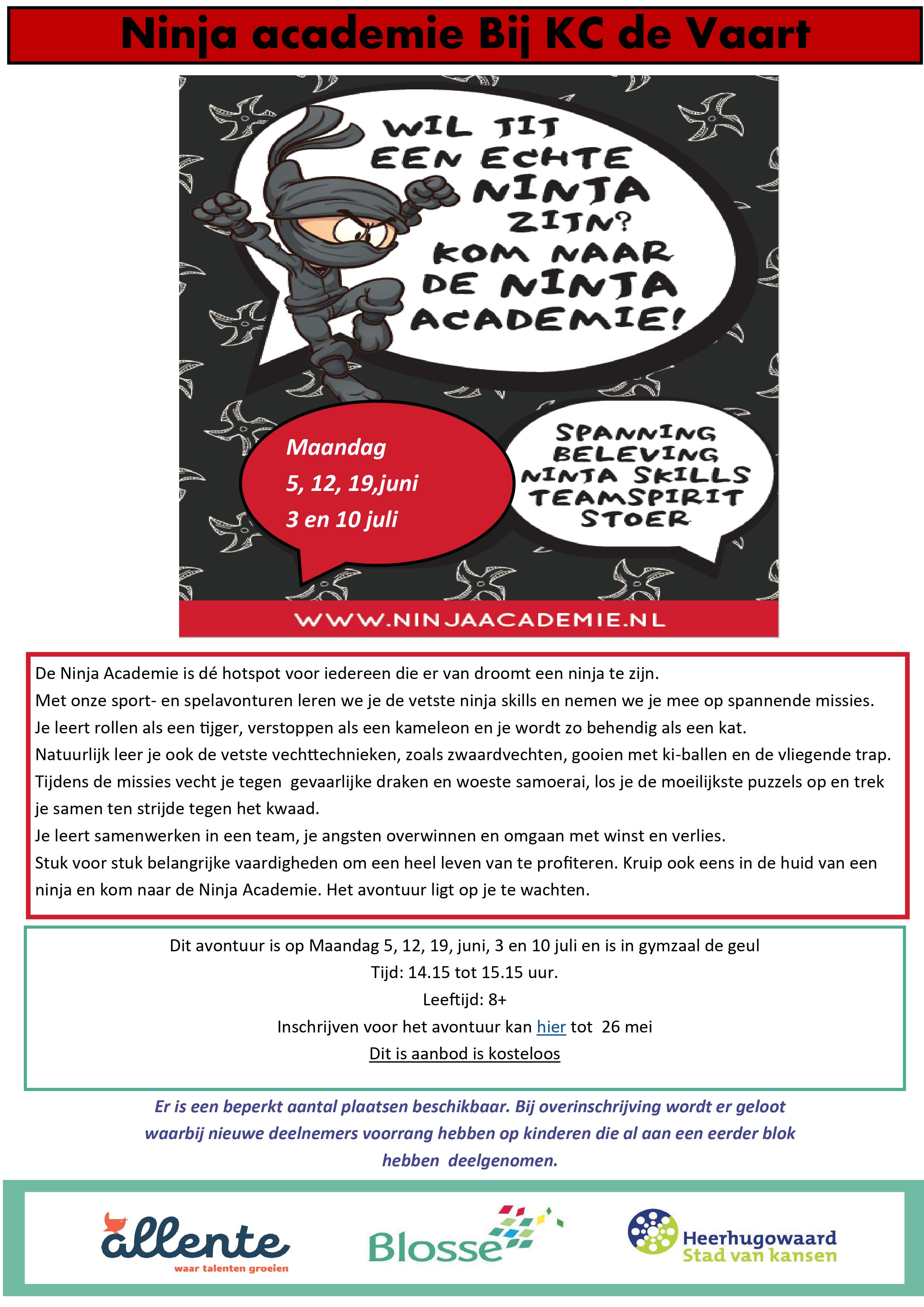 Naschools aanbod: De Ninja Academie